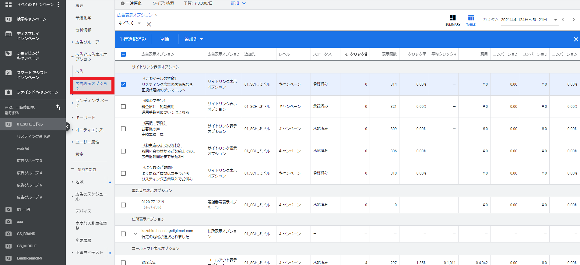 Google広告の広告表示オプション