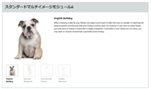 Amazon広告_商品紹介コンテンツ（Aプラスコンテンツ）_スタンダードマルチイメージモジュールA