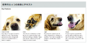 Amazon広告_商品紹介コンテンツ（Aプラスコンテンツ）_標準的な4つの画像とテキスト