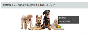 Amazon広告_商品紹介コンテンツ（Aプラスコンテンツ）_標準的なイメージおよび暗いテキストのオーバーレイ