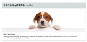 Amazon広告_商品紹介コンテンツ（Aプラスコンテンツ）_テキスト付き標準画像ヘッダー