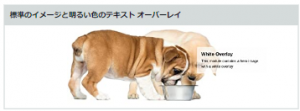Amazon広告_商品紹介コンテンツ（Aプラスコンテンツ）_標準のイメージと明るい色のテキストオーバーレイ
